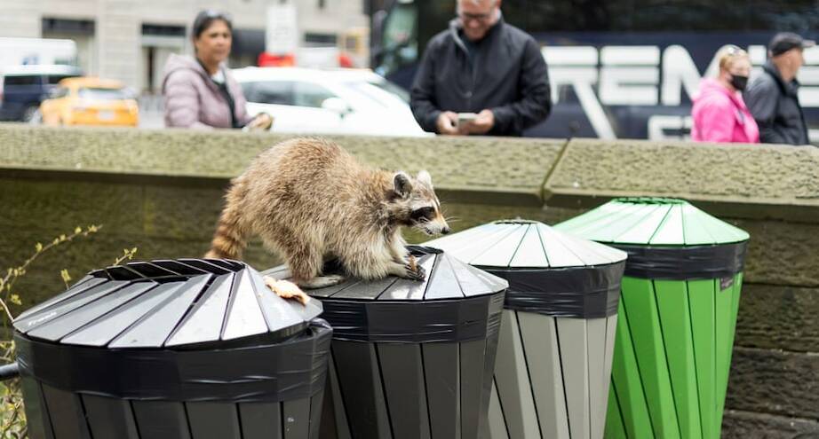 Фото дня: пойман с поличным