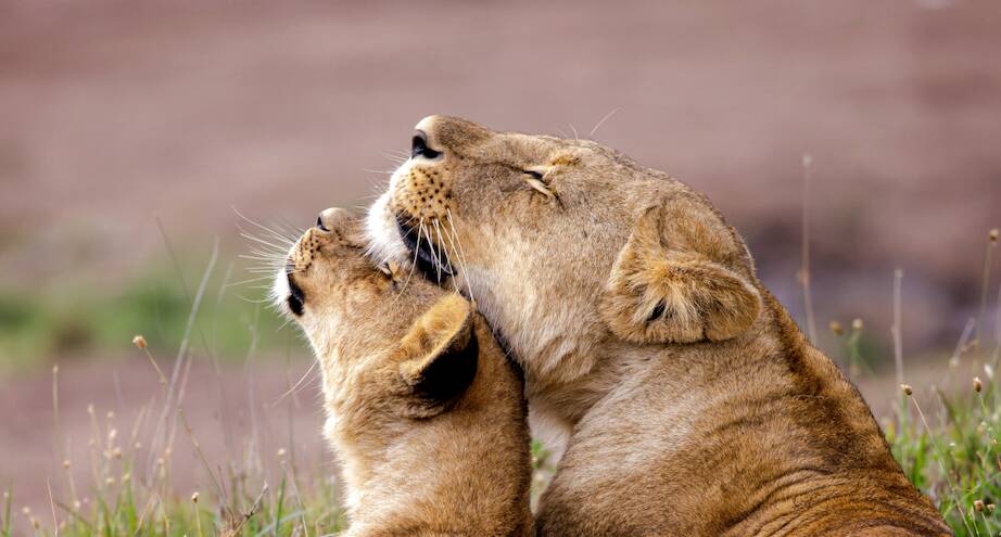 Фото дня: семейная идиллия