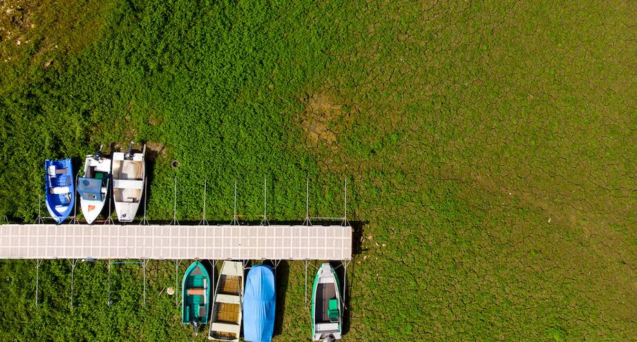 Фото дня: засуха и обмелевшее озеро между Швейцарией и Францией