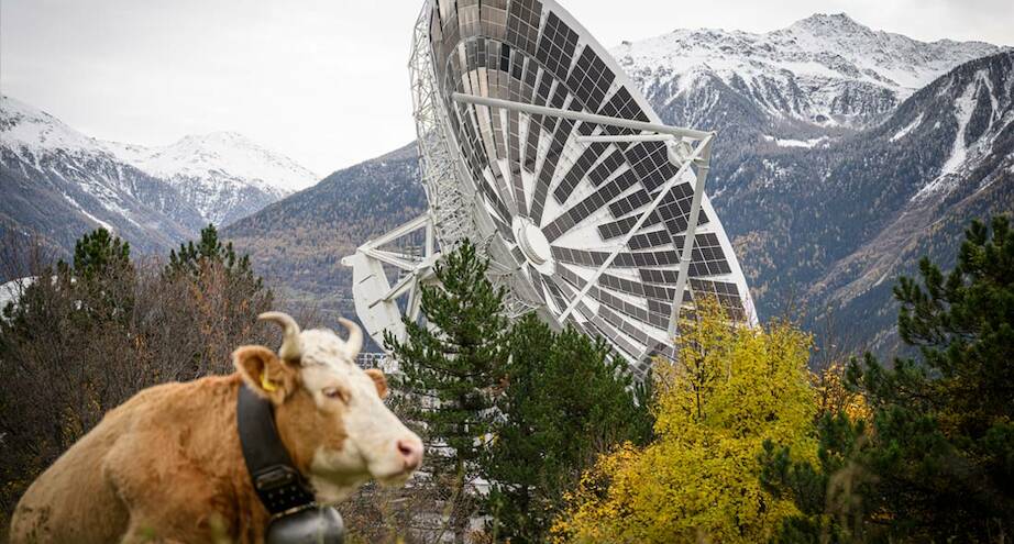 Фото дня: спутниковые антенны, которые стали солнечными батареями