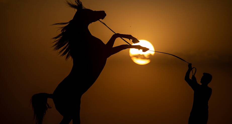 Фото дня: солнце садится в Эрбиле