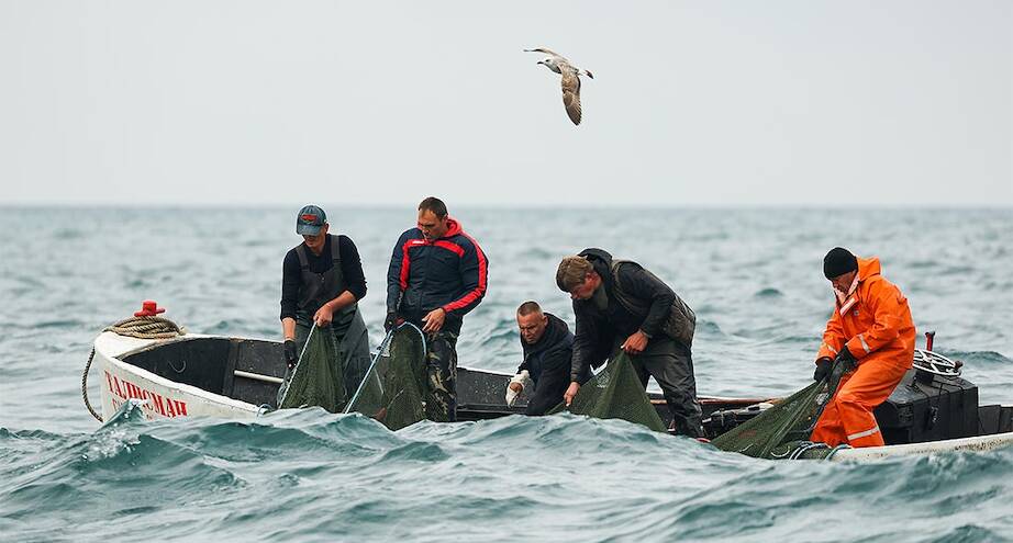 Фото дня: сезон барабульки начался