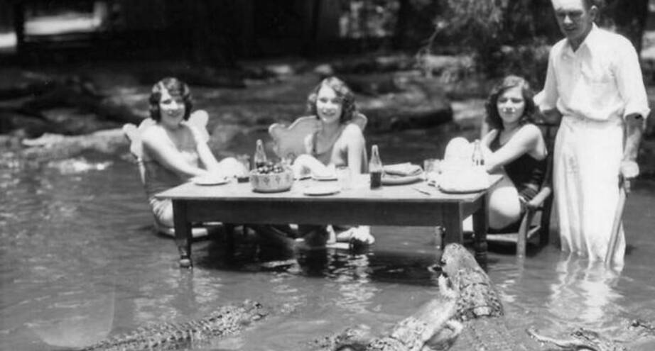 Фото дня: пикник на ферме аллигаторов, 1920 гг.