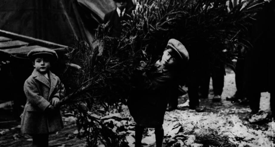 Фото дня: покупка елки, Лондон, 1920