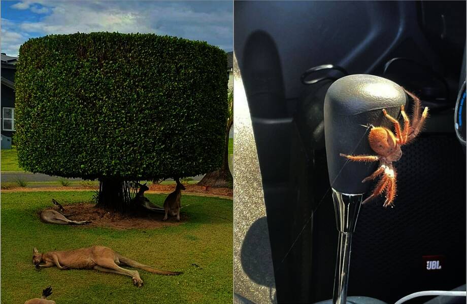 15 чудес далекого континента: как выглядит Австралия глазами австралийцев 15 чудес далекого континента: как выглядит Австралия глазами австралийцев