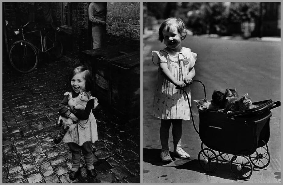 15 фотодоказательств, что между кошками и детьми всегда была особая связь 15 фотодоказательств, что между кошками и детьми всегда была особая связь