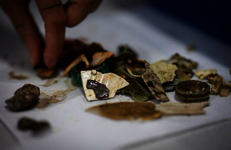 Видео: в теле австралийских птиц так много пластика, что они хрустят Видео: в теле австралийских птиц так много пластика, что они хрустят