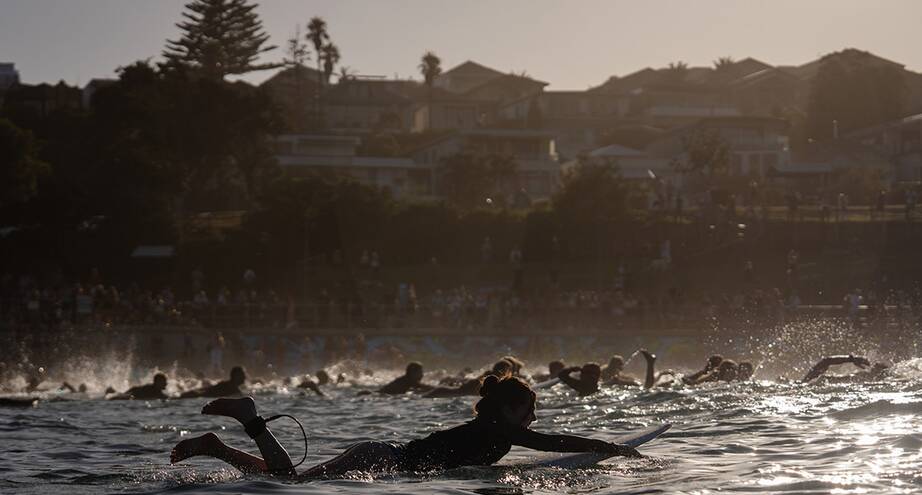 Фото дня: время серфить!