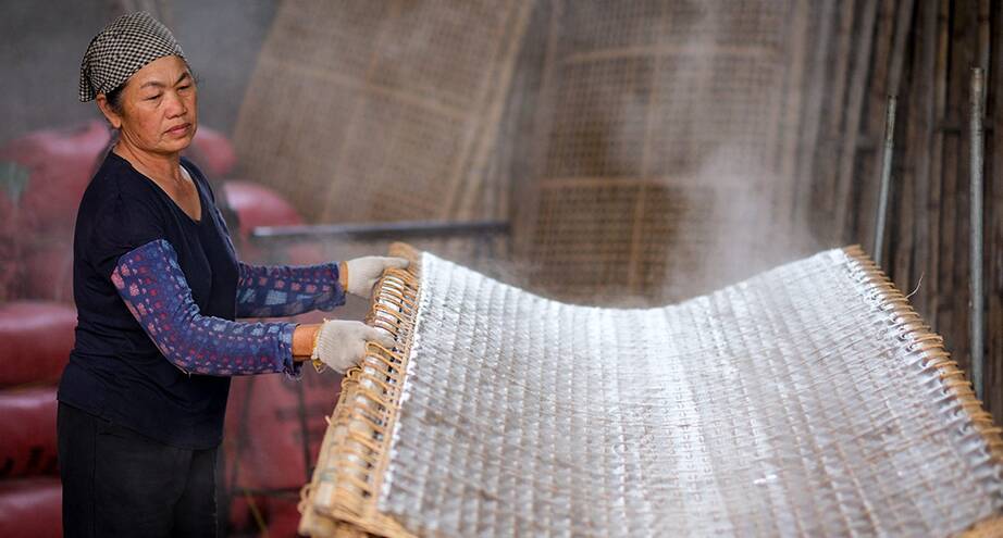 Фото дня: производство вьетнамской вермишели