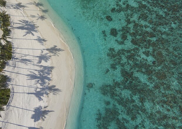 Дни искусства в Milaidhoo