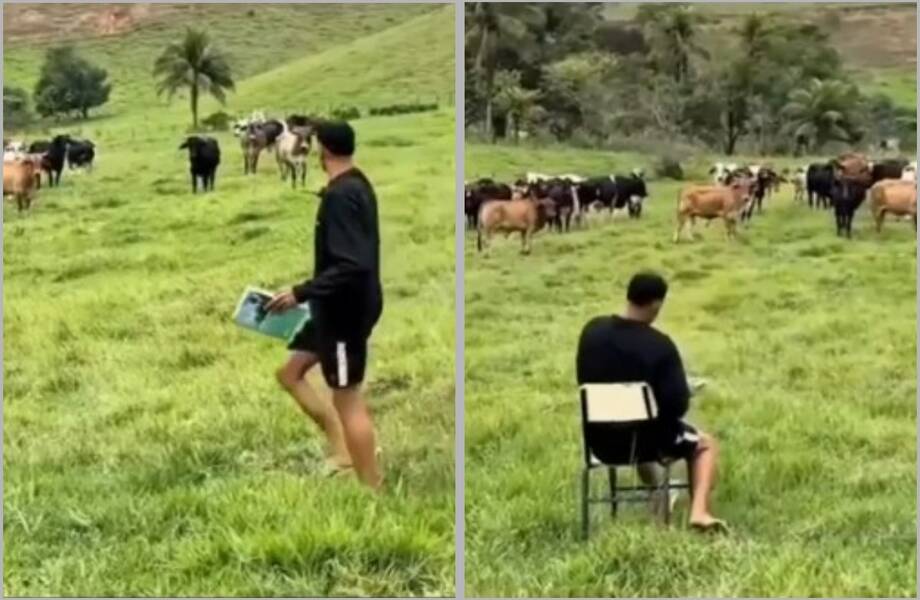 Видео: бразильский фермер устроил перекличку коров, и каждая ответила мычанием Видео: бразильский фермер устроил перекличку коров, и каждая ответила мычанием