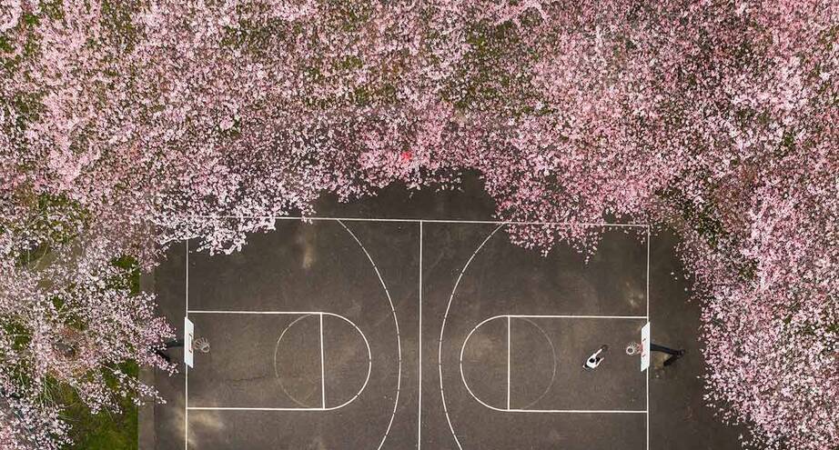 Фото дня: а вы бы поиграли тут в баскетбол?